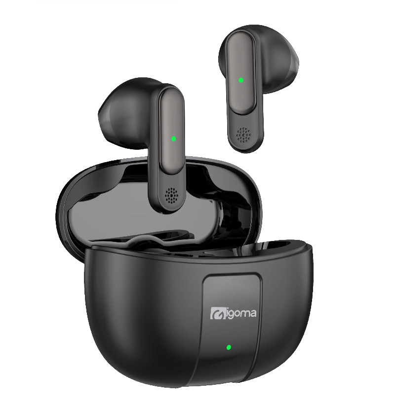 Earphones IG-11