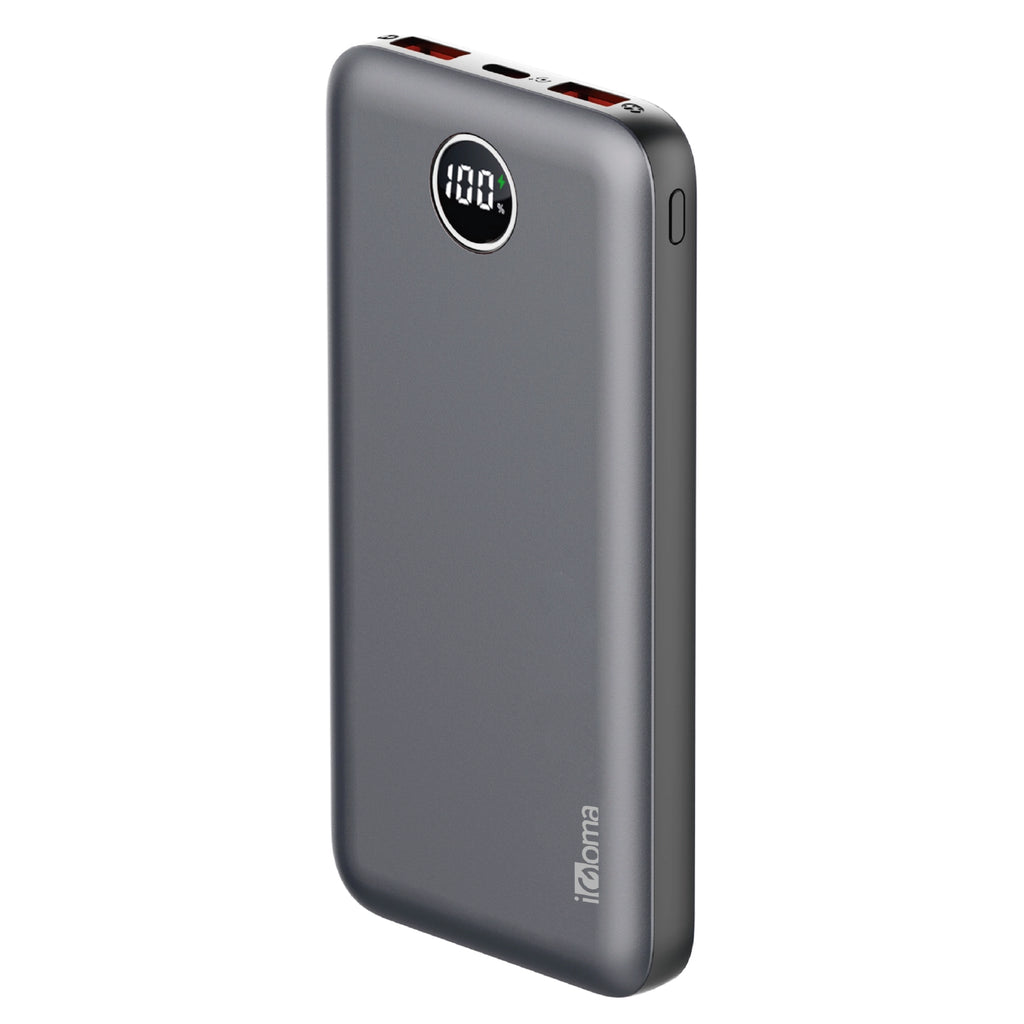 Power Bank PW-1003