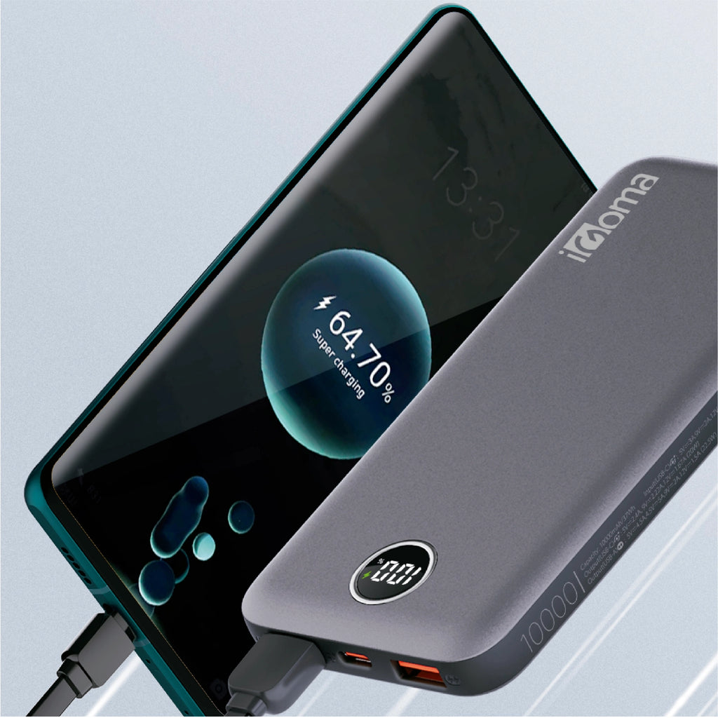 Power Bank PW-1003