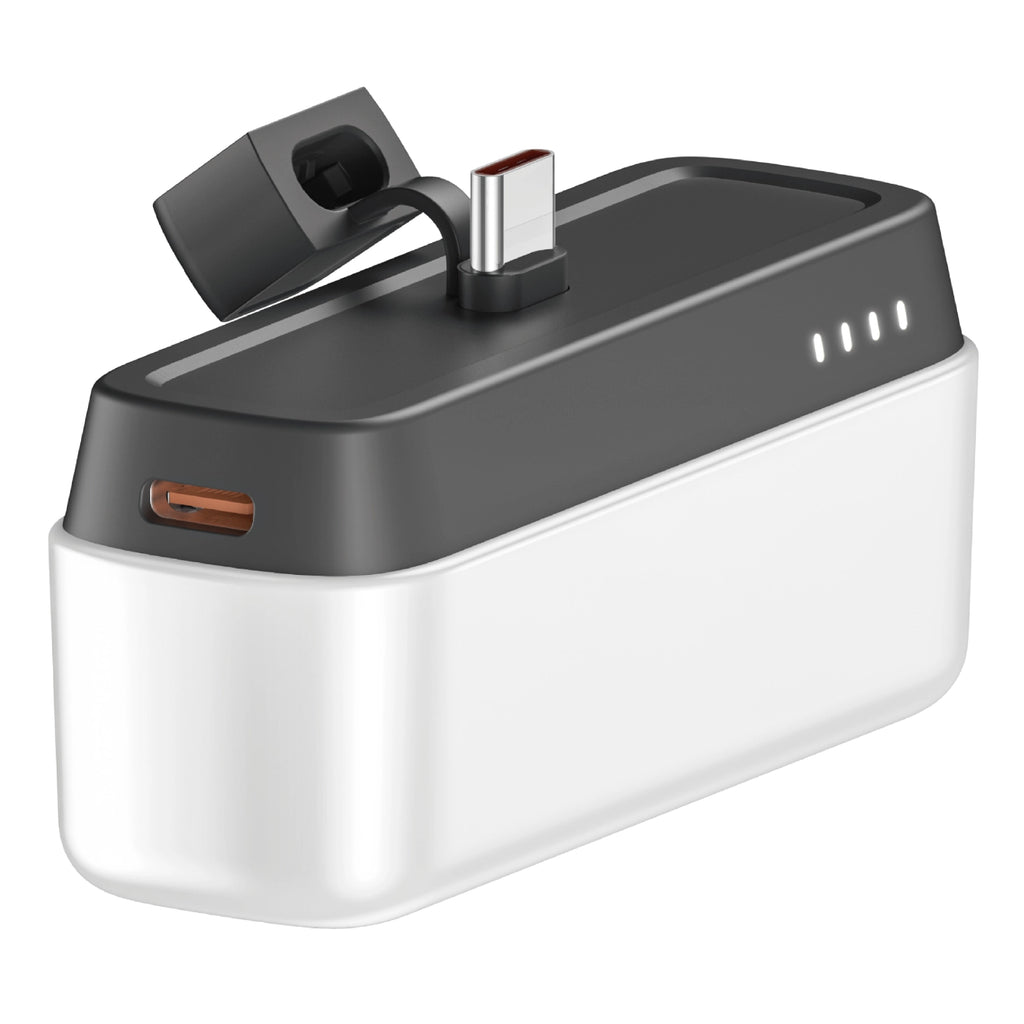 Power Bank 5000 mAh PW-1011