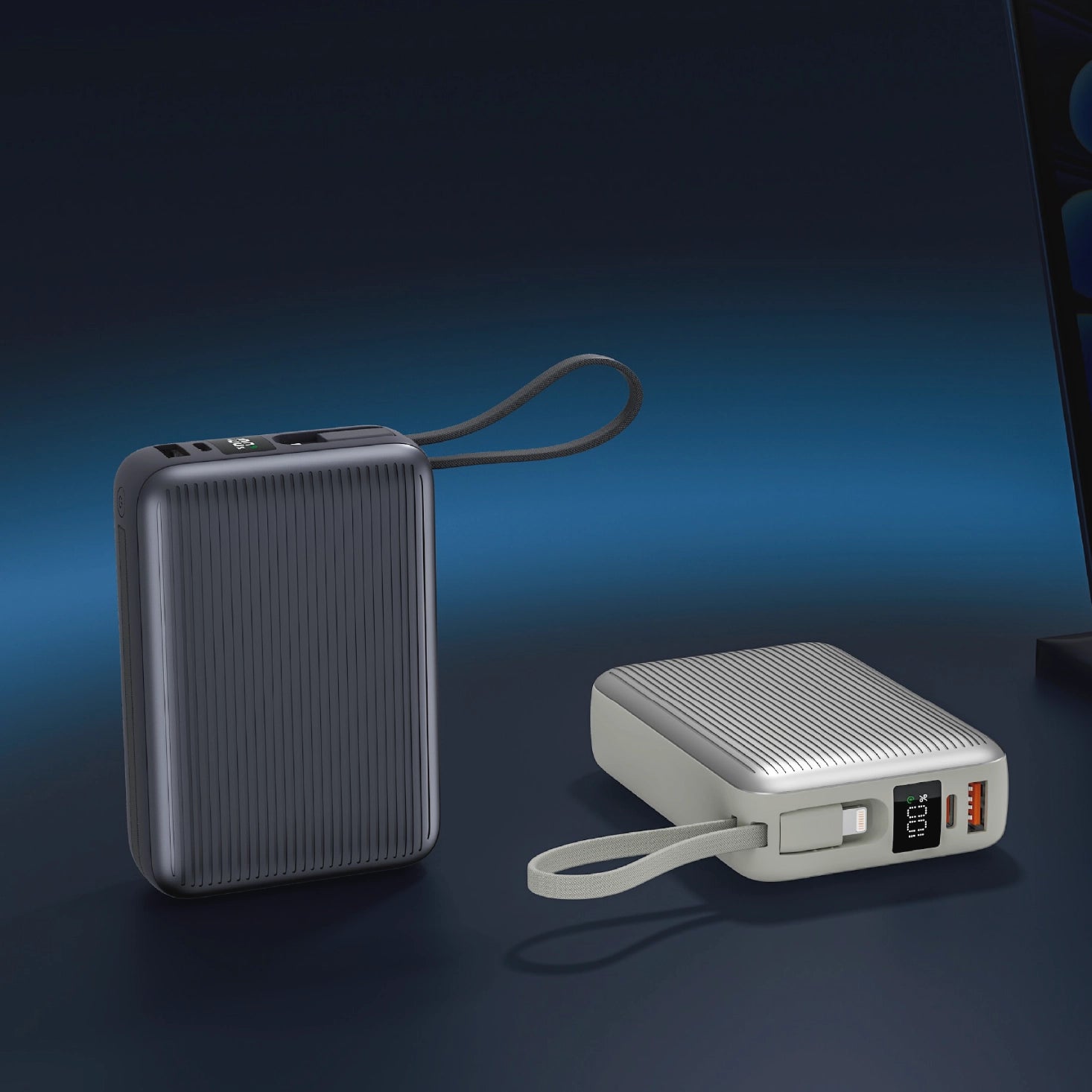 Power Bank 10000 mAh PW-1012